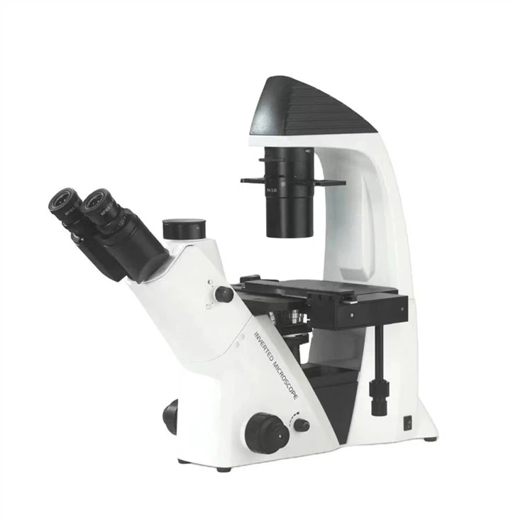Binocular Microscope Compound Microscopio